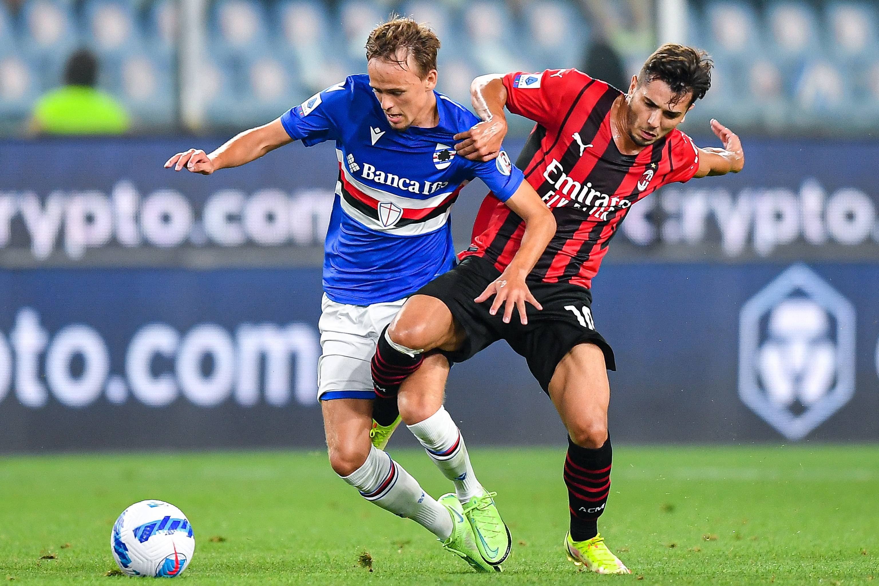 清晰验证了 清晰验证了