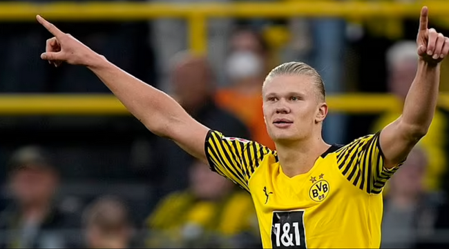 本地篮球队 本地篮球队